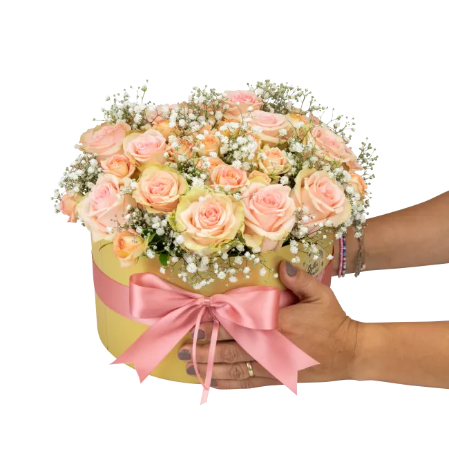 květinový box růží